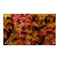 Red And Yellow Ivy  Banner And Sign 5  X 3  by okhismakingart