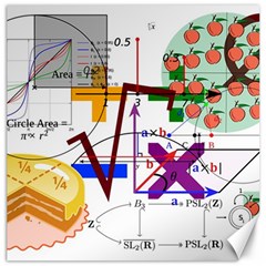 Mathematics Formula Physics School Canvas 16  X 16  by Bedest