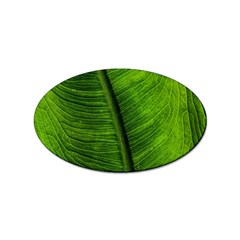 Green-leaf-plant-freshness-color Sticker (oval) by Bedest