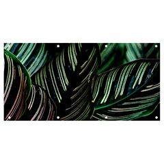 Calathea Leaves Strippe Line Banner And Sign 8  X 4  by Ravend