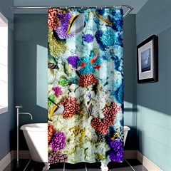 Fish The Ocean World Underwater Fishes Tropical Shower Curtain 36  X 72  (stall)  by Ndabl3x