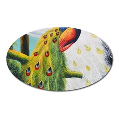 Peacock Art Oval Magnet by Grandong