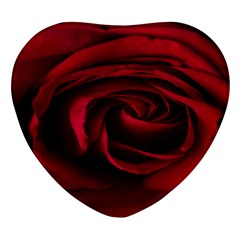 Rose Maroon Heart Glass Fridge Magnet (4 Pack) by nateshop