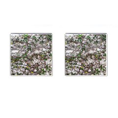 Climbing Plant At Outdoor Wall Cufflinks (square) by dflcprintsclothing