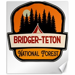 Bridger Teton T- Shirt Bridger Teton National Forest T- Shirt Canvas 20  X 24  by JamesGoode