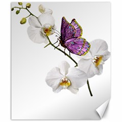 Butterfly Art T- Shirtbutterfly T- Shirt (2) Canvas 20  X 24  by JamesGoode