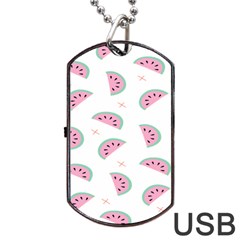 Watermelon Wallpapers  Creative Illustration And Patterns Dog Tag Usb Flash (one Side) by Ket1n9