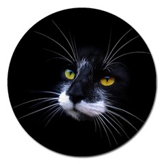 Face Black Cat Magnet 5  (round) by Ket1n9