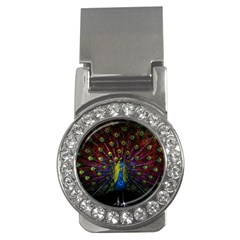 Beautiful Peacock Feather Money Clips (cz)  by Ket1n9