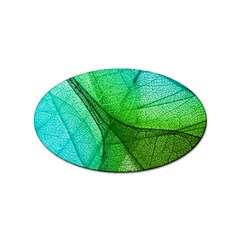 Sunlight Filtering Through Transparent Leaves Green Blue Sticker (oval) by Ket1n9