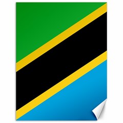 Flag Of Tanzania Canvas 12  X 16  by Amaryn4rt