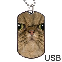 Cute Persian Catface In Closeup Dog Tag Usb Flash (two Sides) by Amaryn4rt