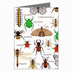 Insects-seamless-pattern Greeting Cards (pkg Of 8) by Amaryn4rt