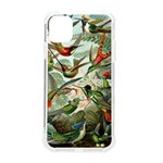 Humming Birds Trochilidae iPhone 11 TPU UV Print Case Front