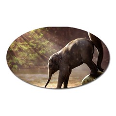 Baby Elephant Watering Hole Oval Magnet by Sarkoni