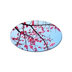 Beautiful Tree Flowers Sticker (oval) by 1212