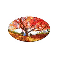 Beautiful Tree Flowers Sticker (oval) by 1212