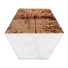 Peafowl Peacock Marble Wood Coaster (hexagon)  by Sarkoni