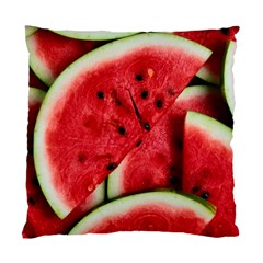 Watermelon Fruit Green Red Standard Cushion Case (one Side) by Bedest