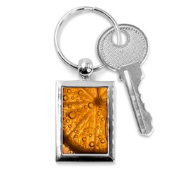 Lime Water Bubbles Macro Light Detail Background Key Chain (rectangle) by Pakjumat