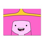 Adventure Time Princess Bubblegum Sticker A4 (10 pack) Front