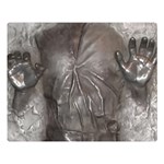 Han Solo In Carbonite Premium Plush Fleece Blanket (Large) 80 x60  Blanket Front