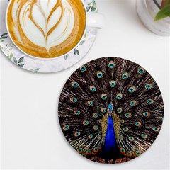 Peacock Uv Print Round Tile Coaster by Ket1n9