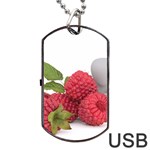 Fruit Healthy Vitamin Vegan Dog Tag USB Flash (One Side) Front