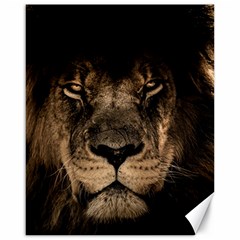 African Lion Mane Close Eyes Canvas 16  X 20  by Ket1n9