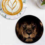 African Lion Mane Close Eyes UV Print Round Tile Coaster Front