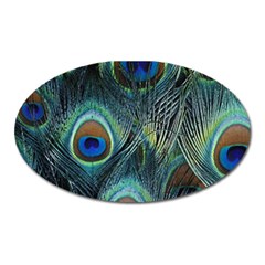 Feathers Art Peacock Sheets Patterns Oval Magnet by Ket1n9