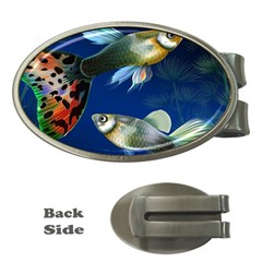 Marine Fishes Money Clips (oval)  by Ket1n9