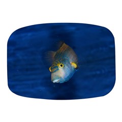 Fish Blue Animal Water Nature Mini Square Pill Box by Hannah976