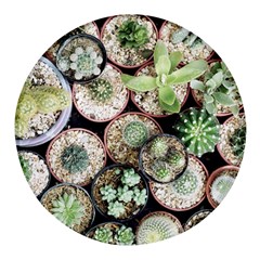 Cactus Nature Plant Desert Round Glass Fridge Magnet (4 Pack) by Bedest