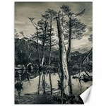 Dry Forest Landscape, Tierra Del Fuego, Argentina Canvas 36  x 48  35.26 x46.15  Canvas - 1