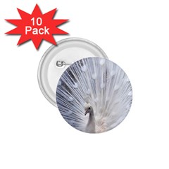 White Peacock Bird 1 75  Buttons (10 Pack) by Ndabl3x