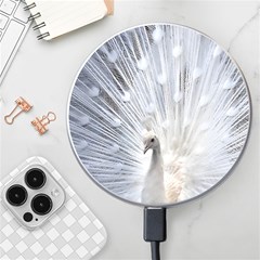 White Peacock Bird Wireless Fast Charger(white) by Ndabl3x