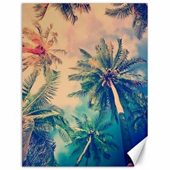 Palm Trees Beauty Nature Clouds Summer Canvas 18  X 24  by Cemarart