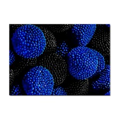 Berry, One,berry Blue Black Sticker A4 (100 Pack) by nateshop