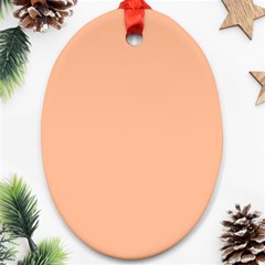 Peach Fuzz 2024 Oval Ornament (two Sides) by dressshop