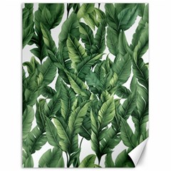 Green Banana Leaves Canvas 12  X 16  by goljakoff