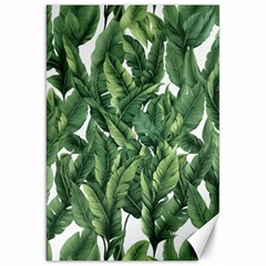 Green Banana Leaves Canvas 20  X 30  by goljakoff