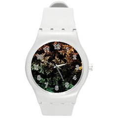 Fractal Patterns Gradient Colorful Round Plastic Sport Watch (m) by Cemarart