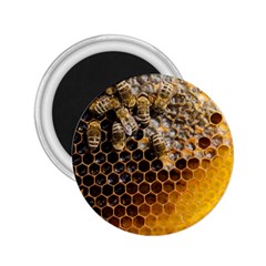 Honeycomb With Bees 2 25  Magnets by Apen