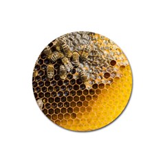 Honeycomb With Bees Magnet 3  (round) by Apen