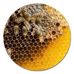 Honeycomb With Bees Magnet 5  (round) by Apen