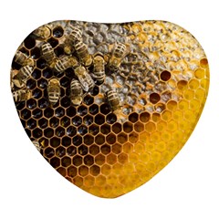 Honeycomb With Bees Heart Glass Fridge Magnet (4 Pack) by Apen