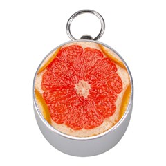 Grapefruit-fruit-background-food Mini Silver Compasses by Maspions