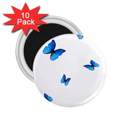 Butterfly-blue-phengaris 2 25  Magnets (10 Pack)  by saad11