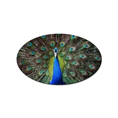 Peacock Bird Feathers Pheasant Nature Animal Texture Pattern Sticker (oval) by Bedest